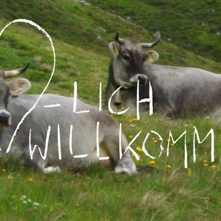 Appartamento Rosenalm - 30 Scheidegg